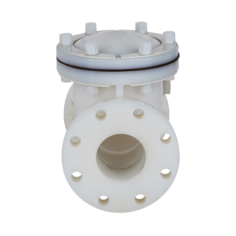 PVDF H44F-10F Svängtyp Backventil DN15-300 GB Standard