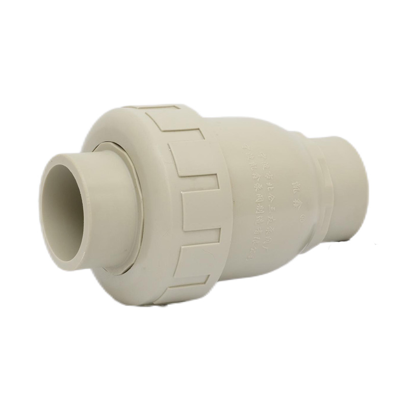 PPH H61F-10S Bakventil DN15-100 GB Standard