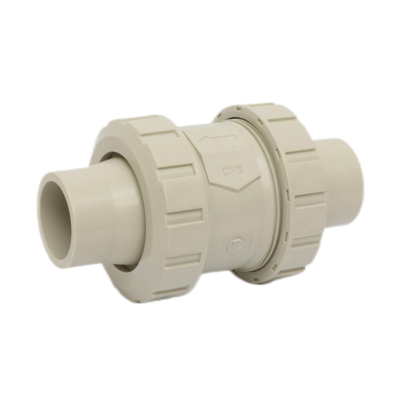 PPH H61F-10S Smältsvetsbackventil DN50 GB Standard