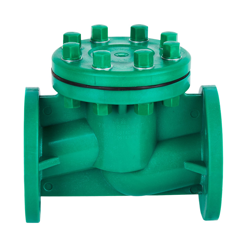 FRPP H41F-10S Livstyp Backventil DN40-80 GB Standard