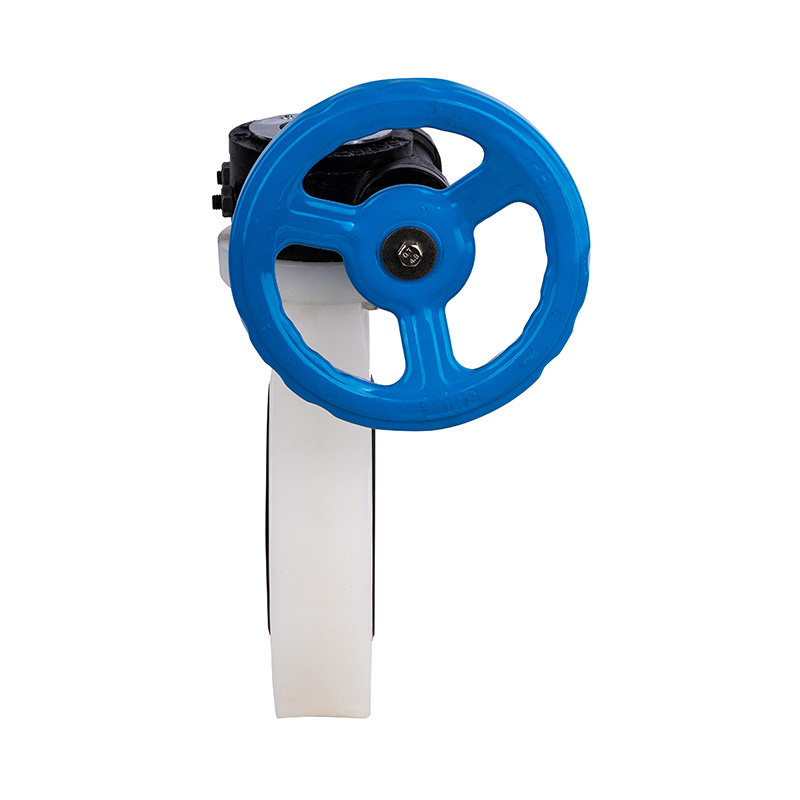 PVDF D371X-10F Snäckväxel vridspjällsventil DN32-1000 GB Standard