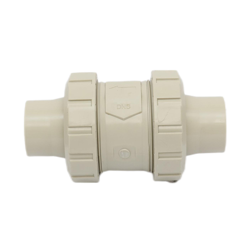 PPH H61F-10S Smältsvetsbackventil DN50 GB Standard